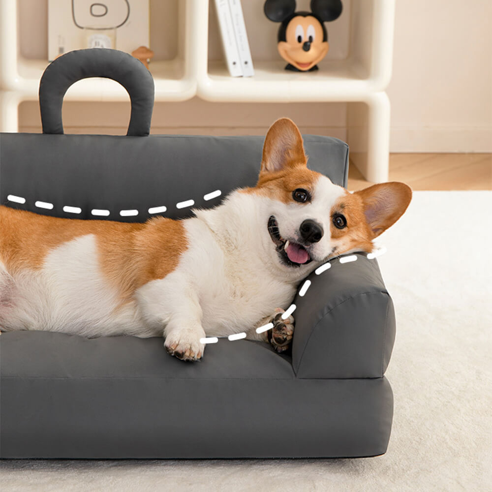 Modernproof Auroproof comodo schienale Dog e gatto divano letto