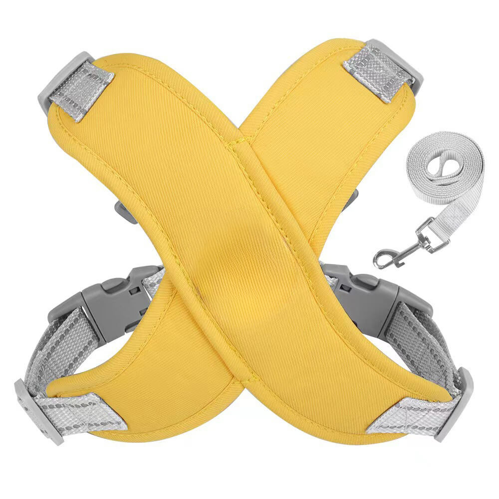 Imbracatura della corda di trazione per cani da compagnia - traspirante e sicuro