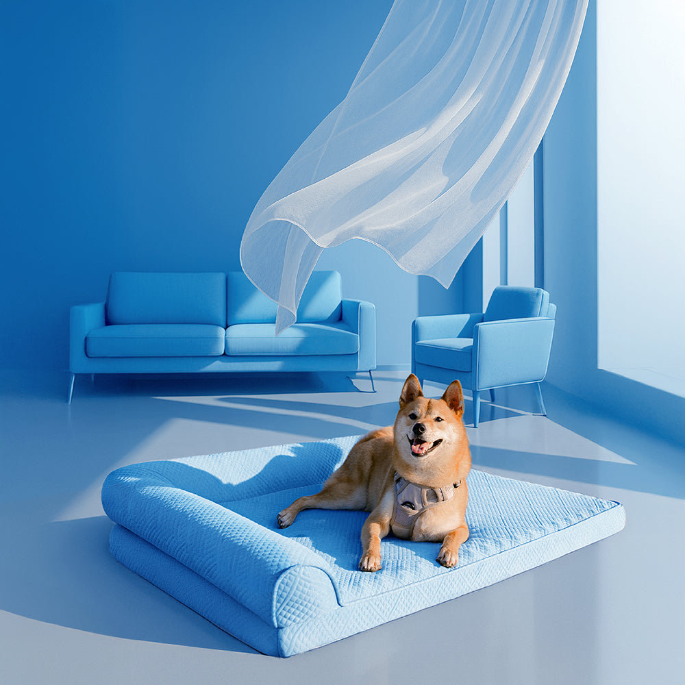 Grande raffreddamento che traspirante non slip ortopedico letto per cani