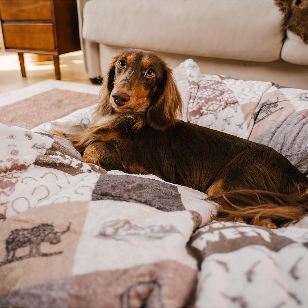 Baschetto antigracciale boho antiscivolo lavabile Balching Dog Bed - Hunter Night