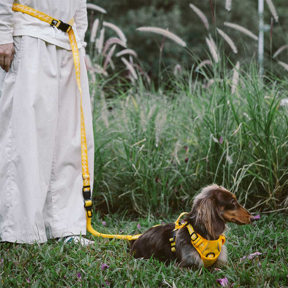 A doppio lato riflettente rettificabile versatile a manico morbido in nylon guinzagli per cani - Flexi Walker