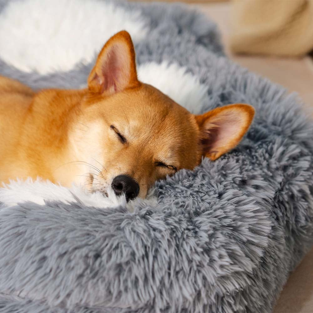 Spot di papa da letto per cani non slip lavabile