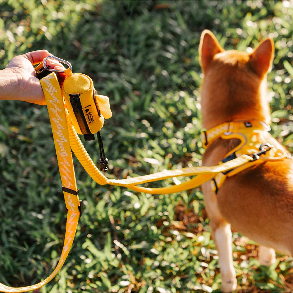 FunnyFuzzy Waterproof Guinzaio Attaccante Dispenser per borse per cacca - Flexi Walker