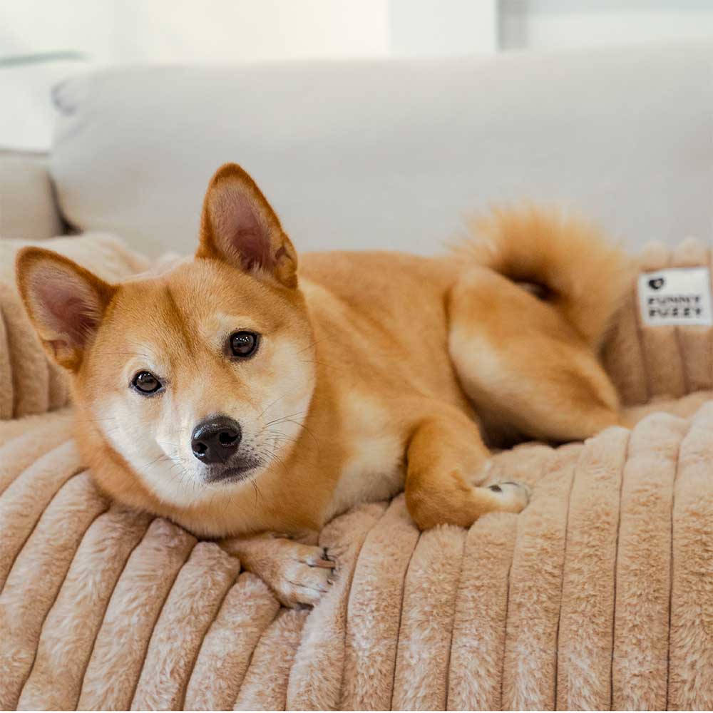 Coperchio di divano del tappetino per cani coperta di divano divano soffice