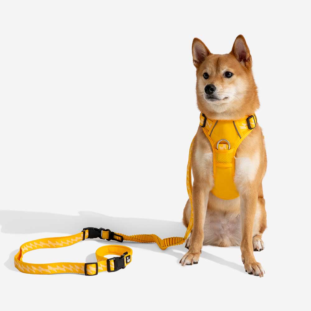 A doppio lato riflettente rettificabile versatile a manico morbido in nylon guinzagli per cani - Flexi Walker