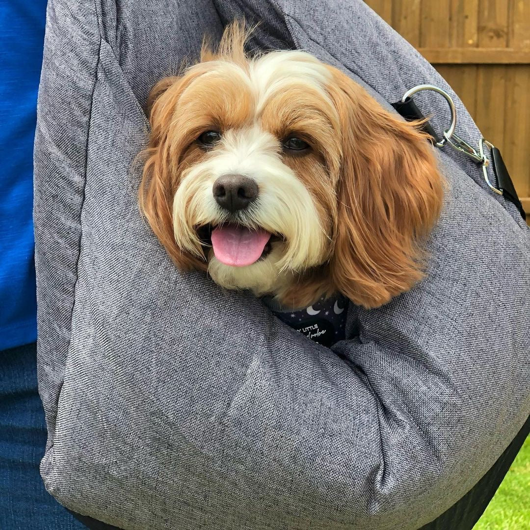 Cucciolo di sicurezza da viaggio cucciolo di sedile auto per auto - Prima classe