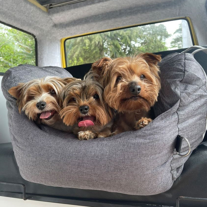 Cucciolo di sicurezza da viaggio cucciolo di sedile auto per auto - Prima classe