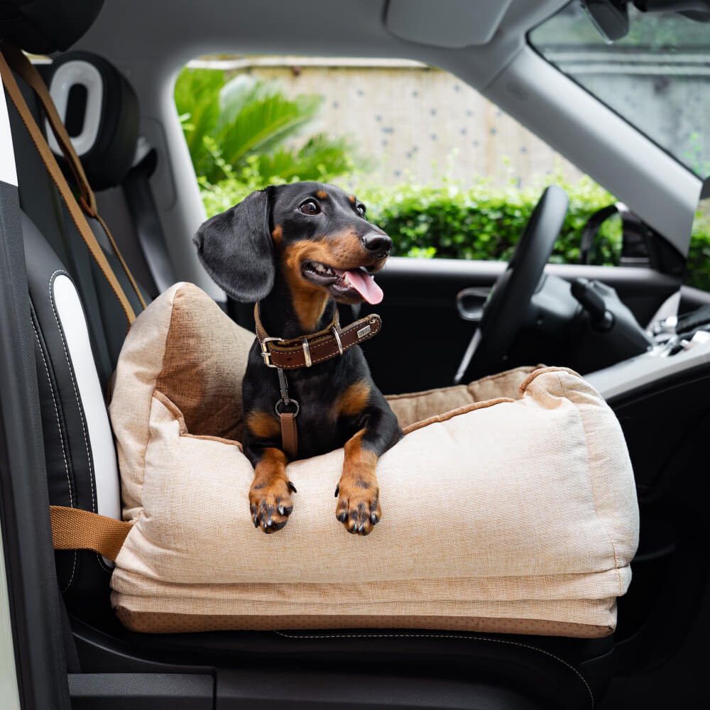 Letto di sicurezza per cani di sicurezza impermeabile leggera