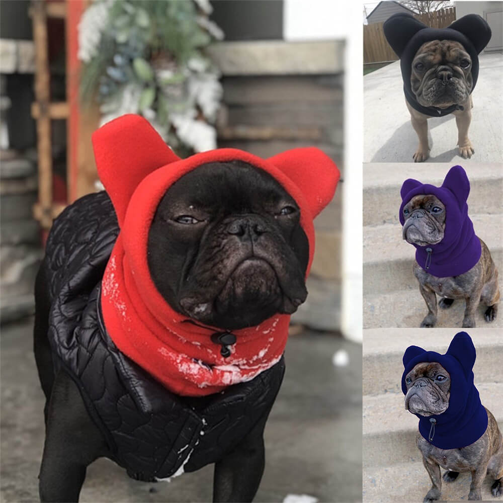 Cappuccio per cani in pile con orecchie da orso - Tespaggio invernale divertente e accogliente