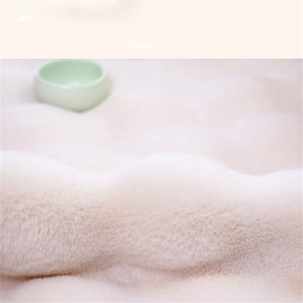 Tapis en peluche ultra doux adapté aux animaux de compagnie – confortable et durable pour votre maison