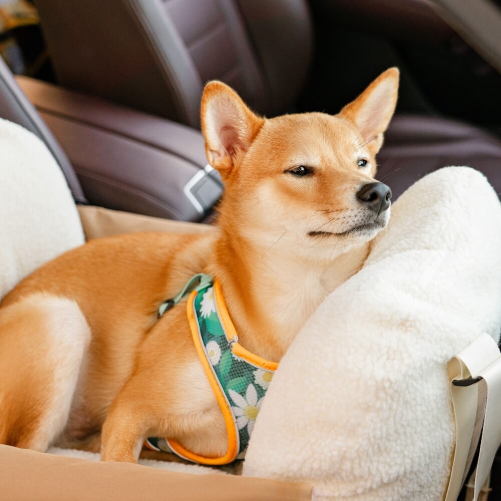 Protezione per cuccioli di sicurezza per viaggi di grandi dimensioni letto per auto per auto