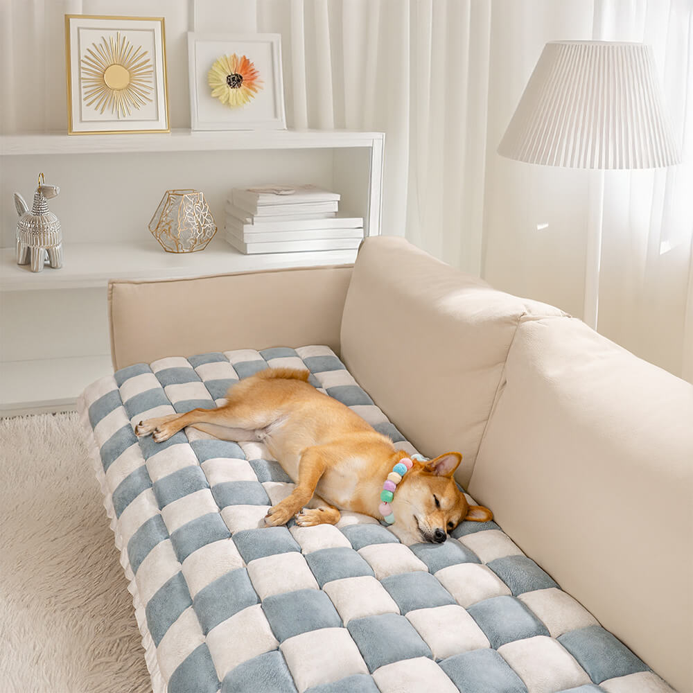 Coperchio di divano protetto per il pet.