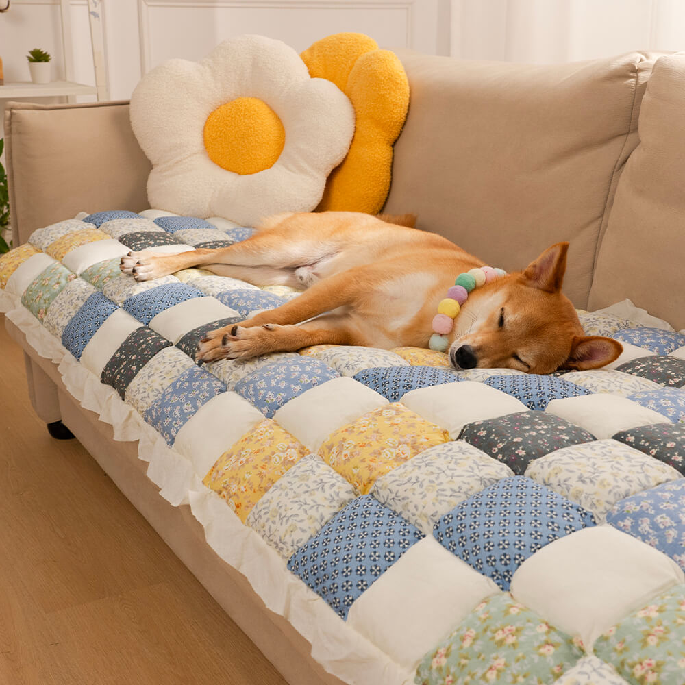 Coperchio di divano protetto per il pet.