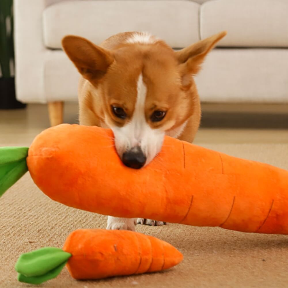 Giocattolo per cani peluche cigolanti di carota giocattolo interattivo