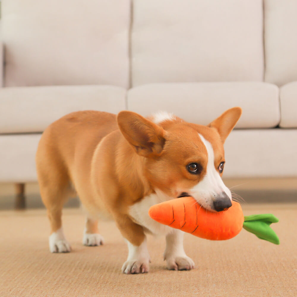 Giocattolo per cani peluche cigolanti di carota giocattolo interattivo