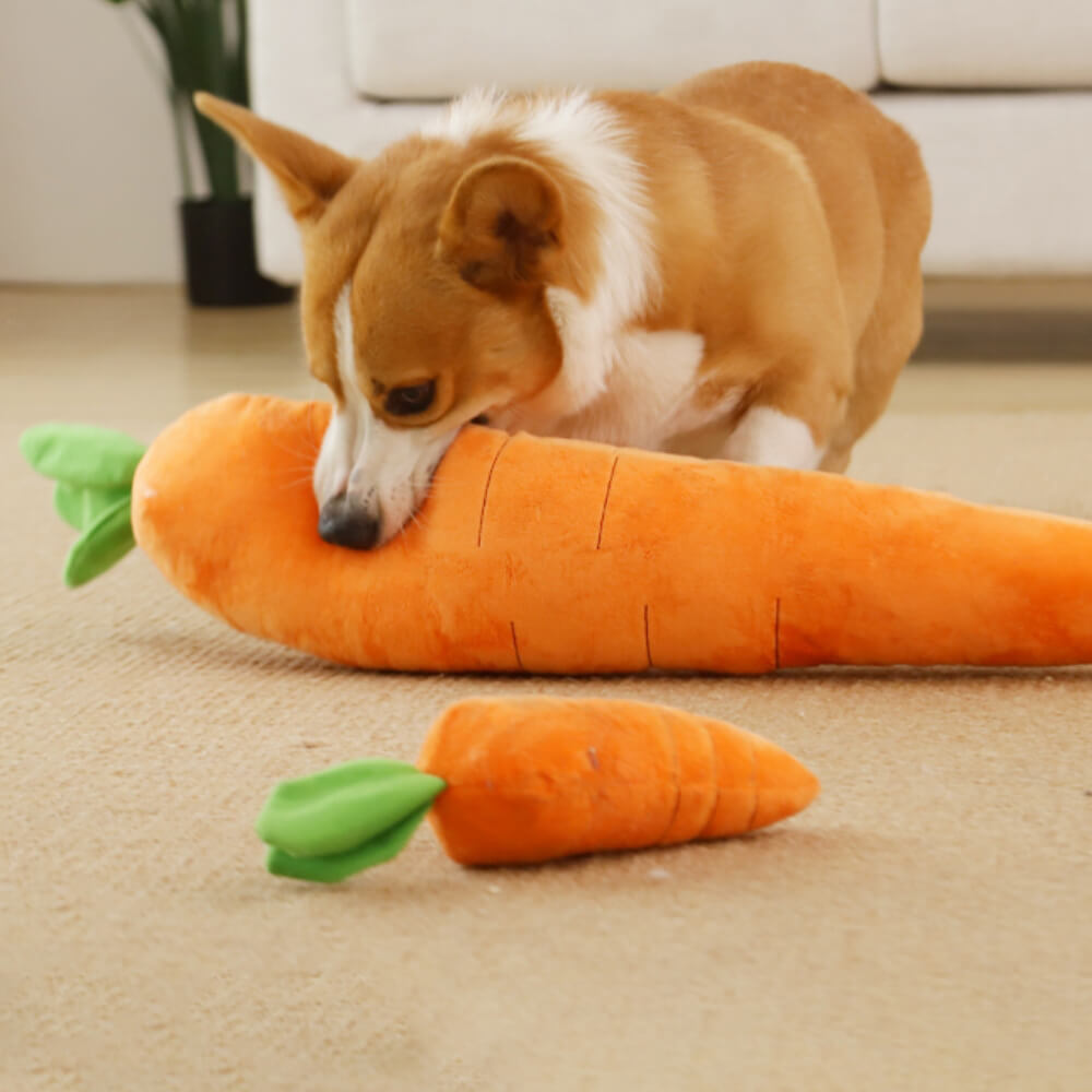 Giocattolo per cani peluche cigolanti di carota giocattolo interattivo