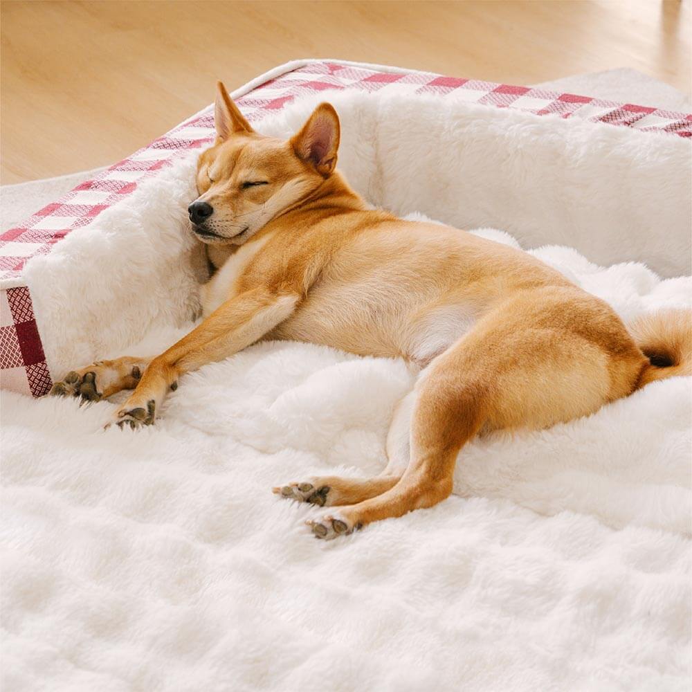 Classico letto per cani calmante ergonomico classico - lavabile espandibile