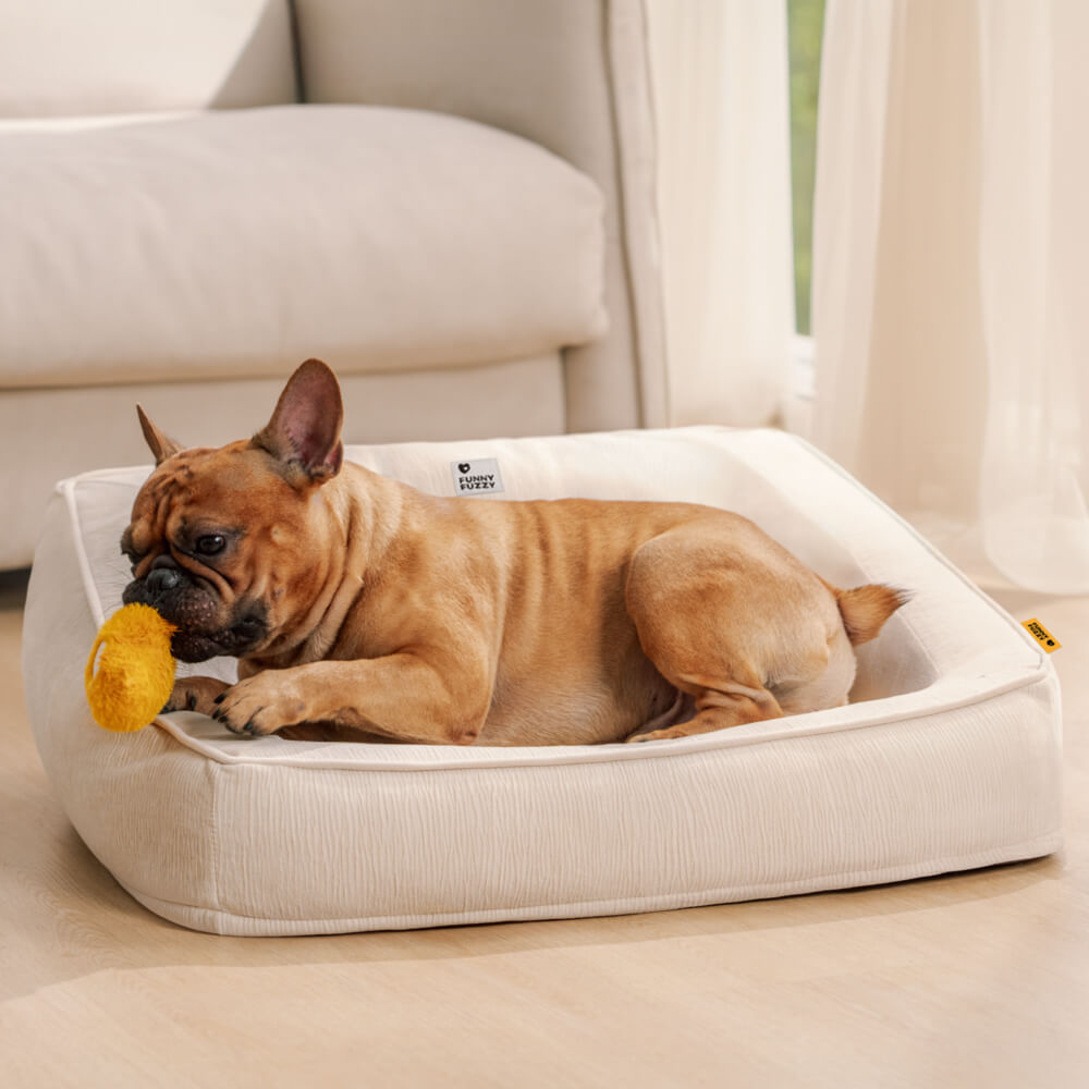 Komfort-Sofabett für Hunde mit orthopädischer Unterstützung und Kissen