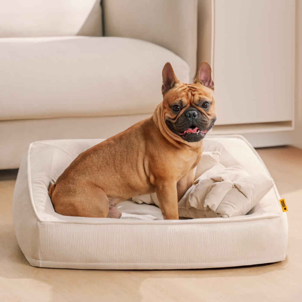 Komfort-Sofabett für Hunde mit orthopädischer Unterstützung und Kissen