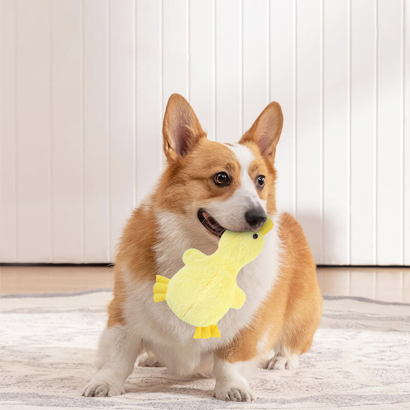 Set di giocattoli da masticare per cane carino interattivo - divertimento giocoso