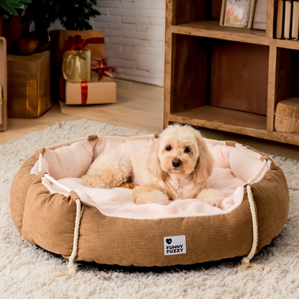 Playful Pull Rope PET PET BETTO REGOLABILE Resistente al cane e gatto