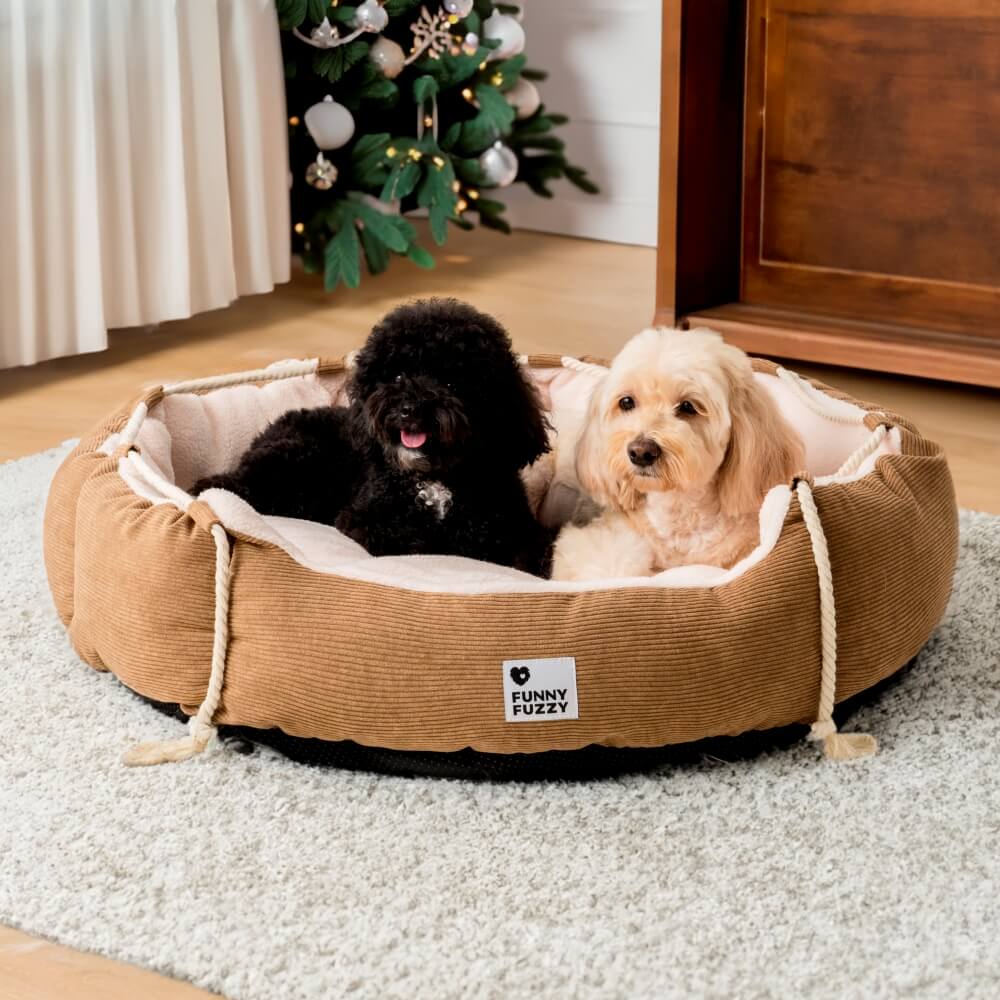 Playful Pull Rope PET PET BETTO REGOLABILE Resistente al cane e gatto