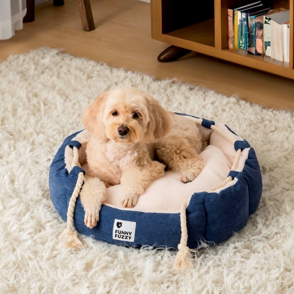 Playful Pull Rope PET PET BETTO REGOLABILE Resistente al cane e gatto