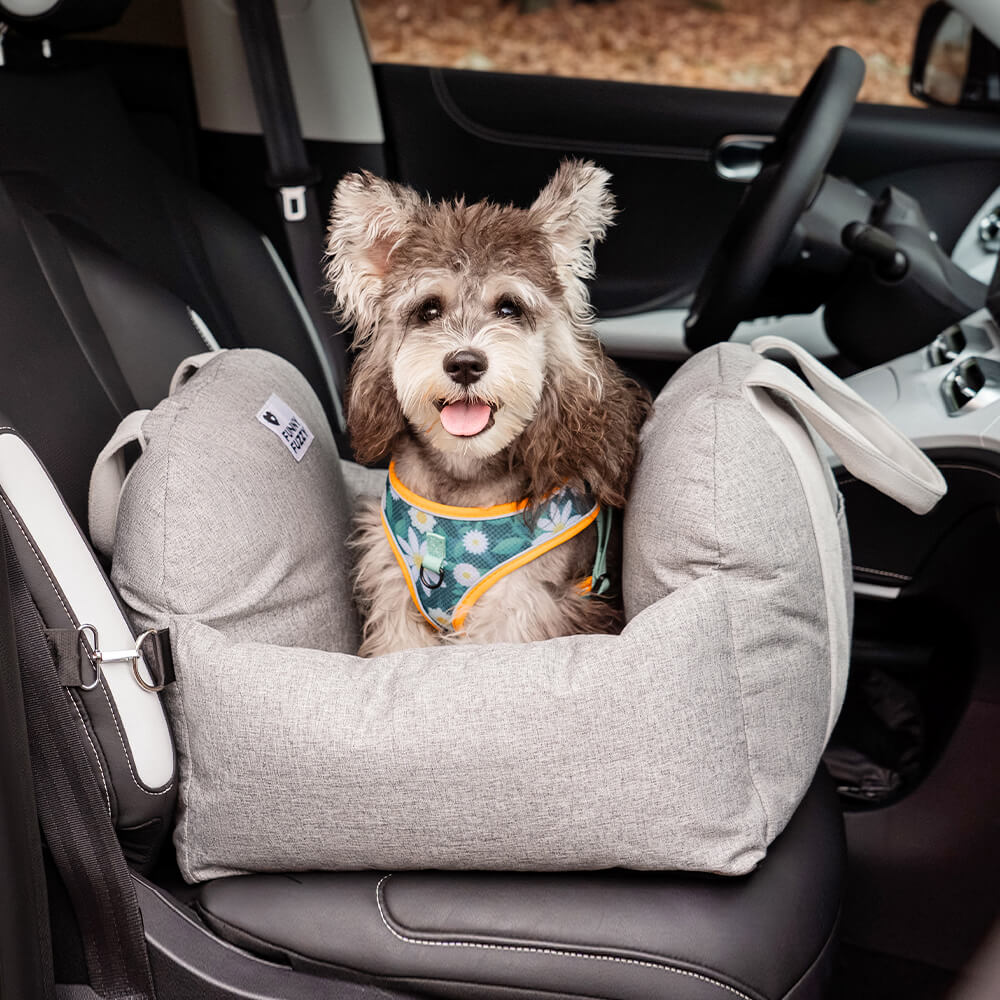 Cucciolo di sicurezza da viaggio cucciolo di sedile auto per auto - Prima classe