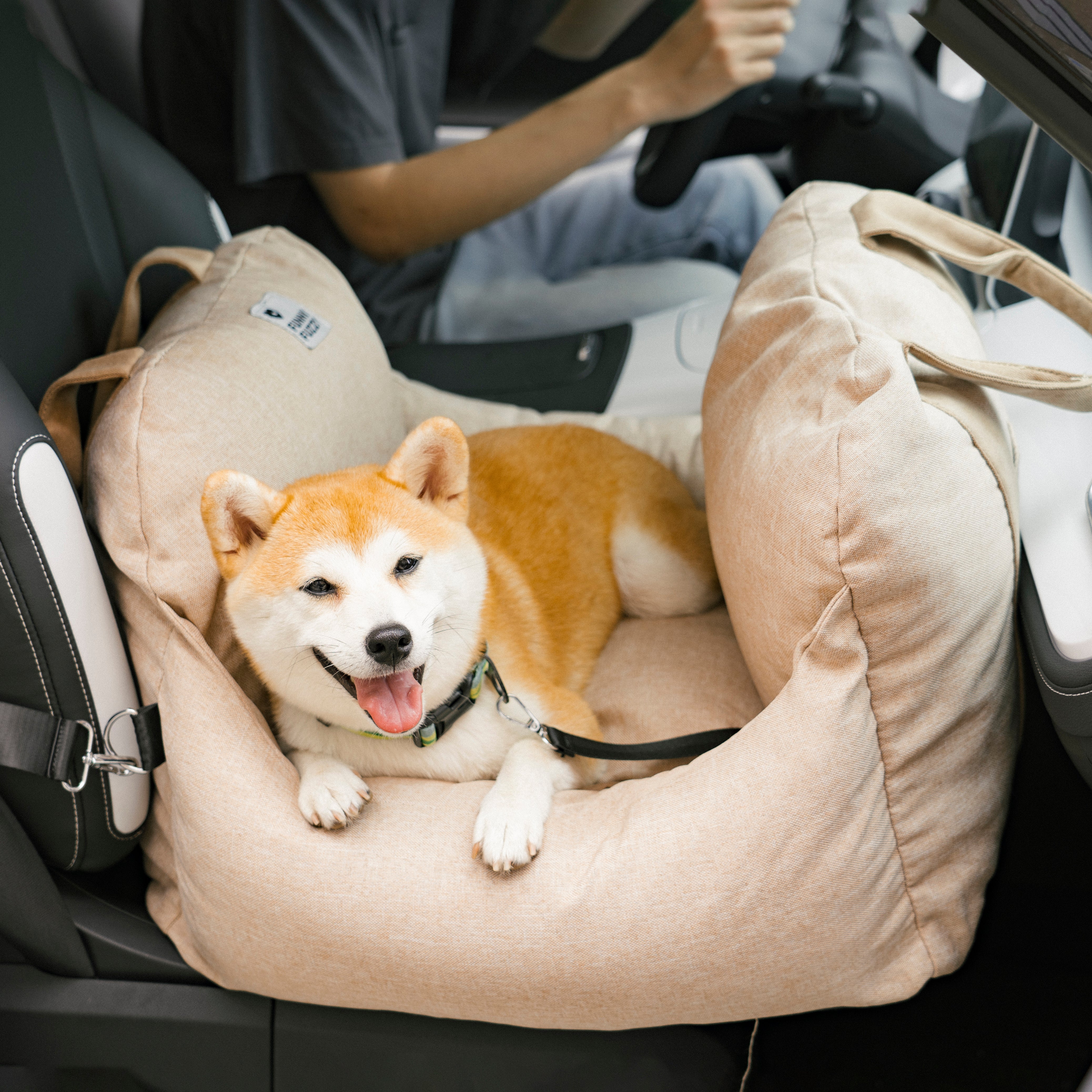 Cucciolo di sicurezza da viaggio cucciolo di sedile auto per auto - Prima classe
