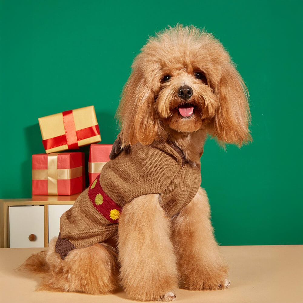 Christmas espesos calientes de perros tortuga calientes calcetines a juego para mascota y propietario