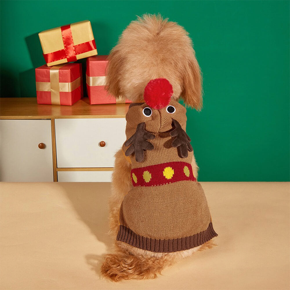 Christmas espesos calientes de perros tortuga calientes calcetines a juego para mascota y propietario