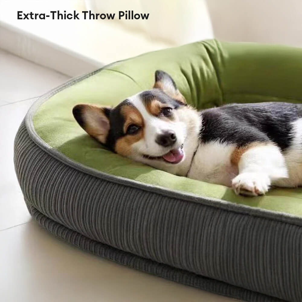 Letto per cani superficie in pelle scamosciata resistente al graffio resistente