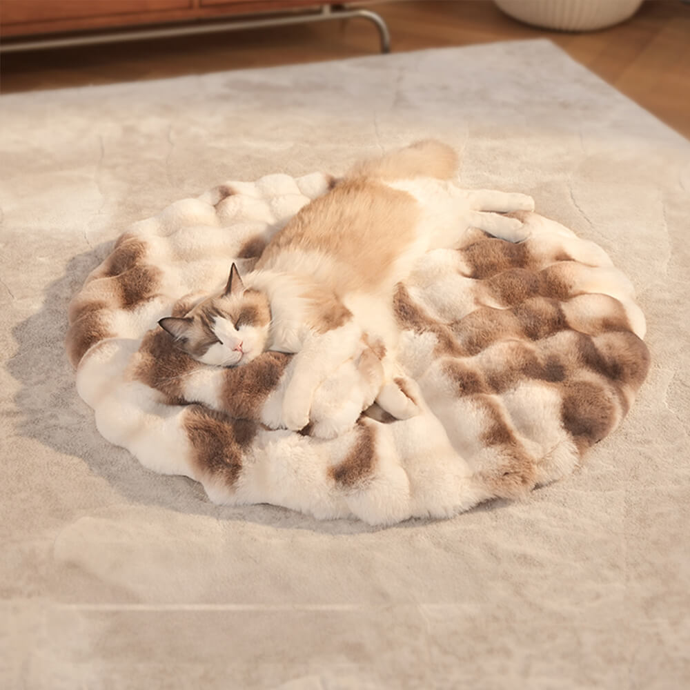 Matina redonda de perros y gatos redondos para el calentamiento con almohada con almohada