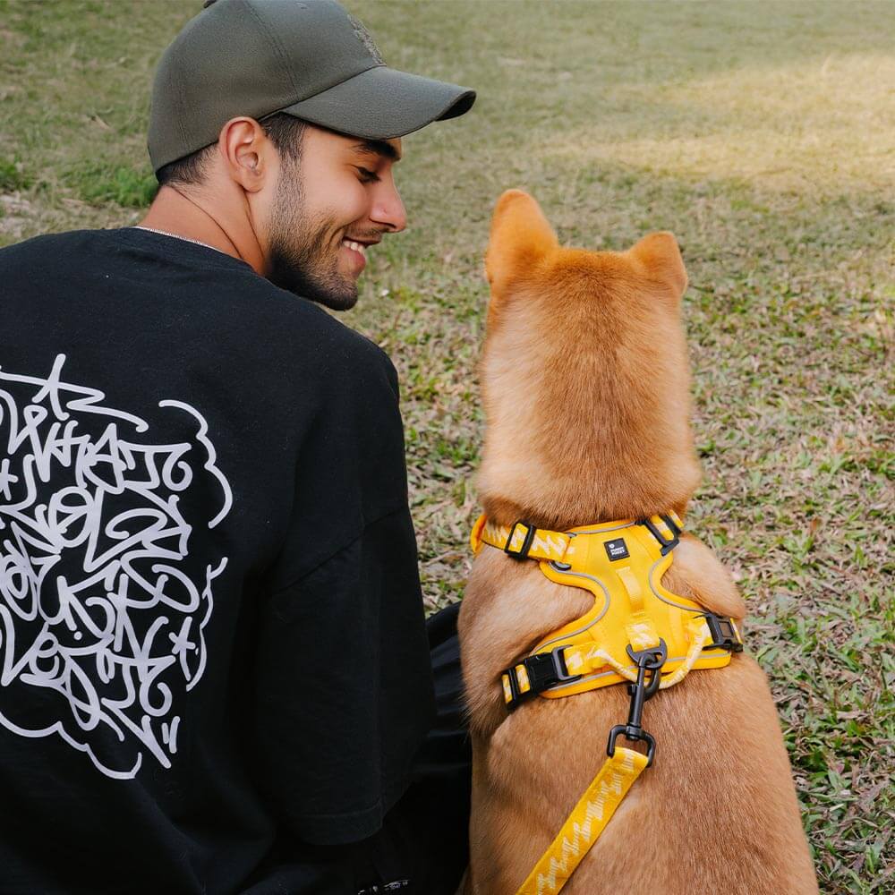 FunnyFuzzy Riflettente Riflettente Cancellatura per cani all'aperto - Flexi Walker