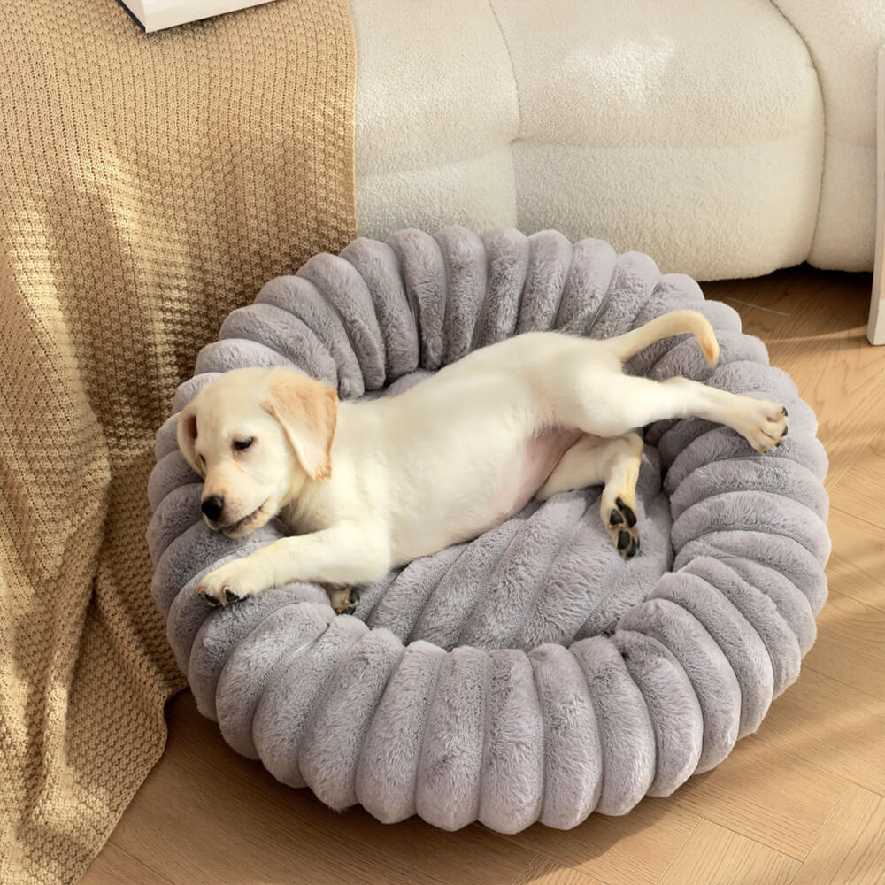 Dog e gatto di supporto per ciambelle rotonde ultra-morbide