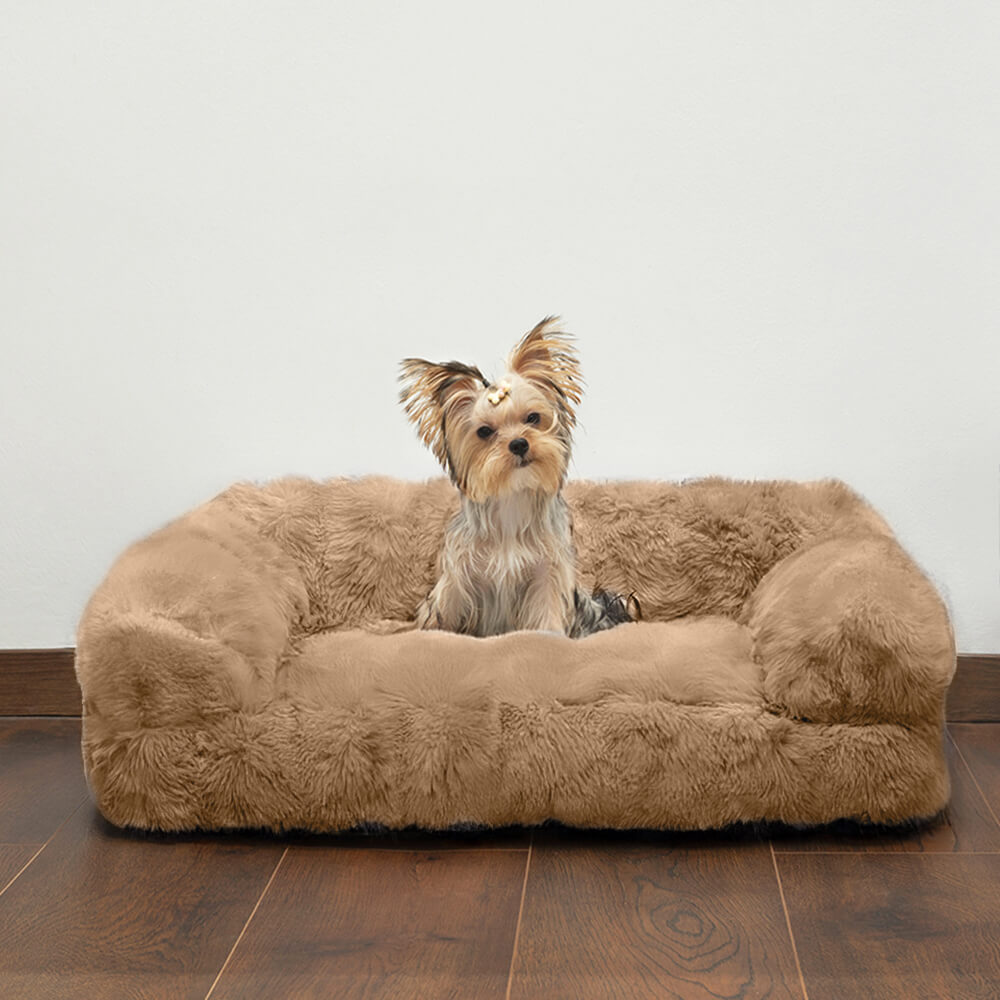 Canapé-lit moelleux en peluche épais et confortable pour animaux de compagnie, lit apaisant pour chien et chat