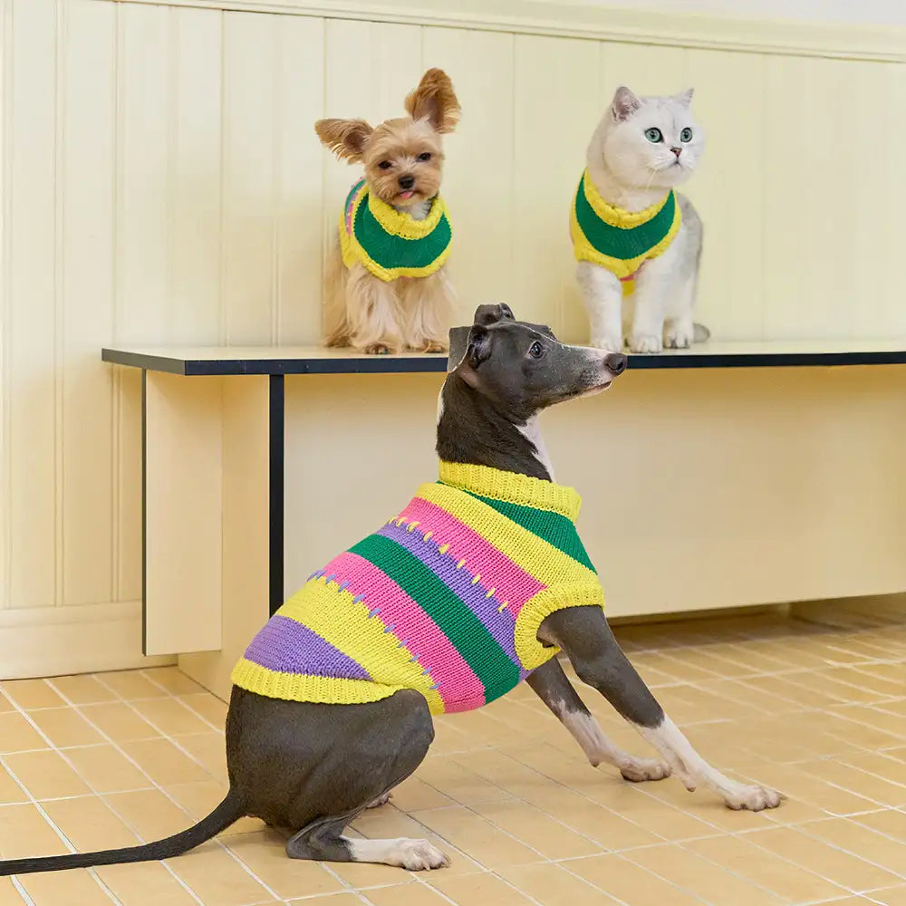 Color Blocked Striped Dachshund Sleeveless Dog Sweater