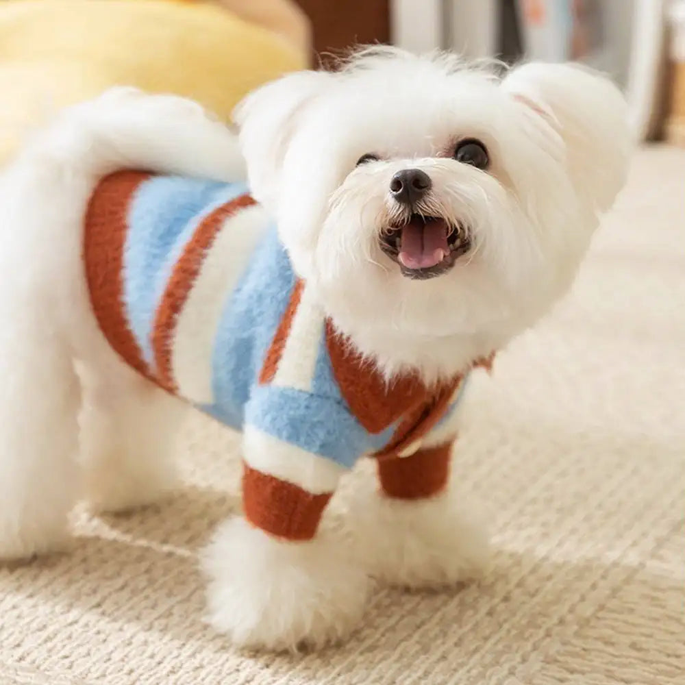 Faux Wool Color-Block Dog Sweater with Striped Collar for Dachshunds