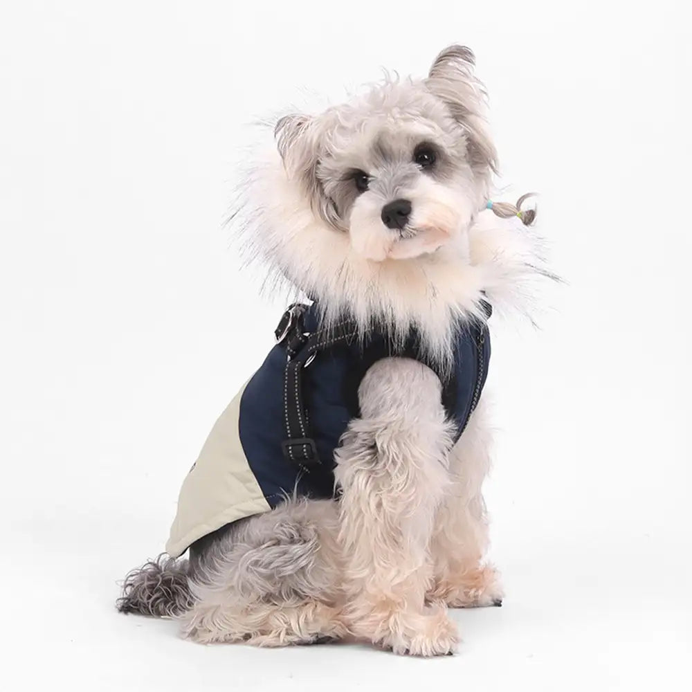 Fur-Trim Hooded Warm Dog Coat with Leash Buckle