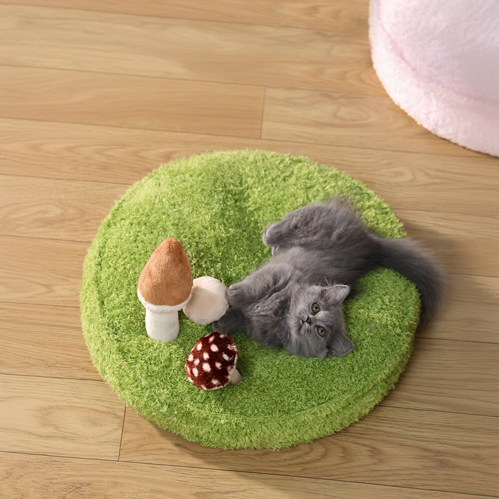 Jungle Explorer 2 in 1 letto per animali domestici divertenti - Parco naturale