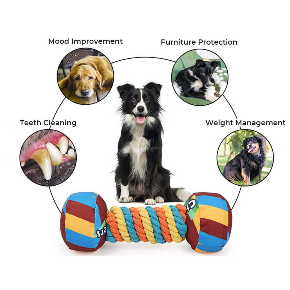 Jouet interactif pour chien avec haltère arc-en-ciel et corde durable et grinçante