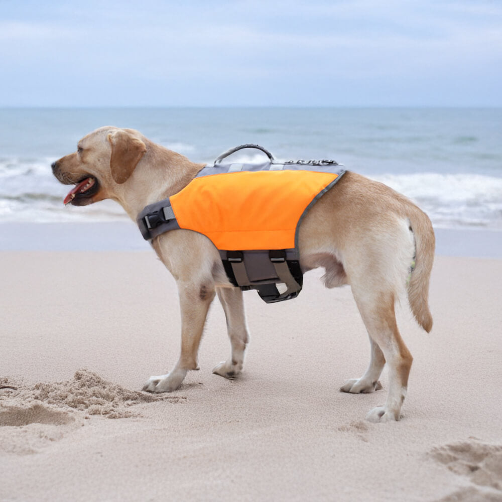 Giacca per cani ad alta visibilità sicura e galleggiante