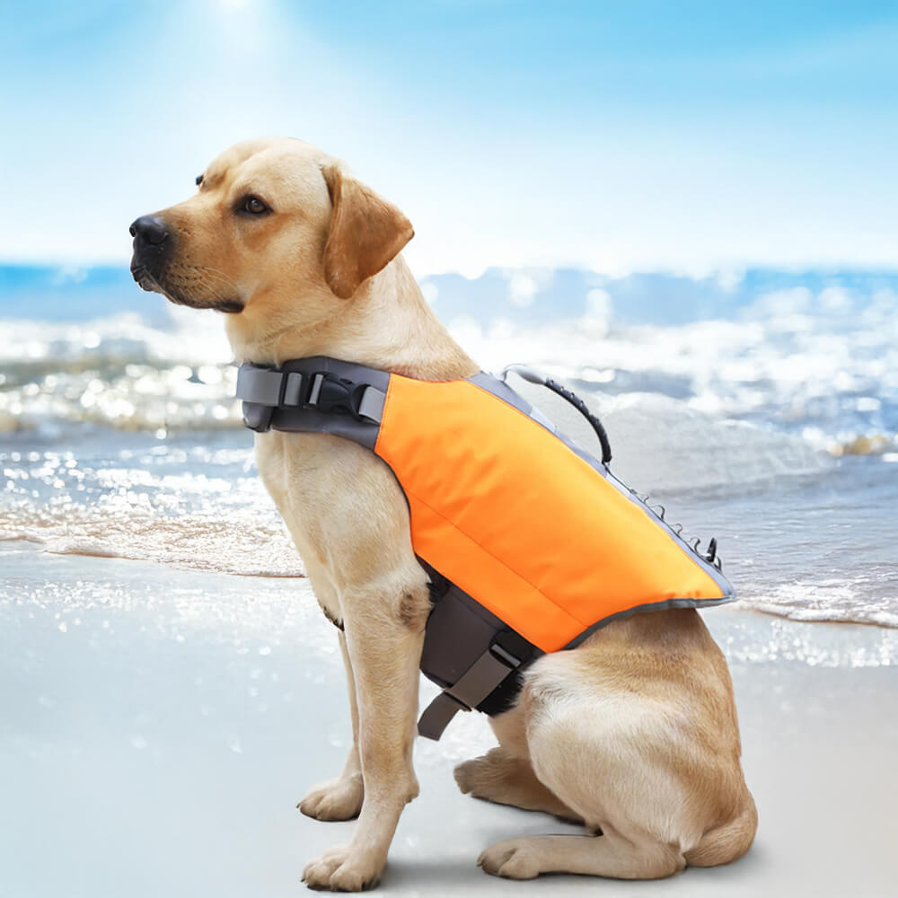 Giacca per cani ad alta visibilità sicura e galleggiante