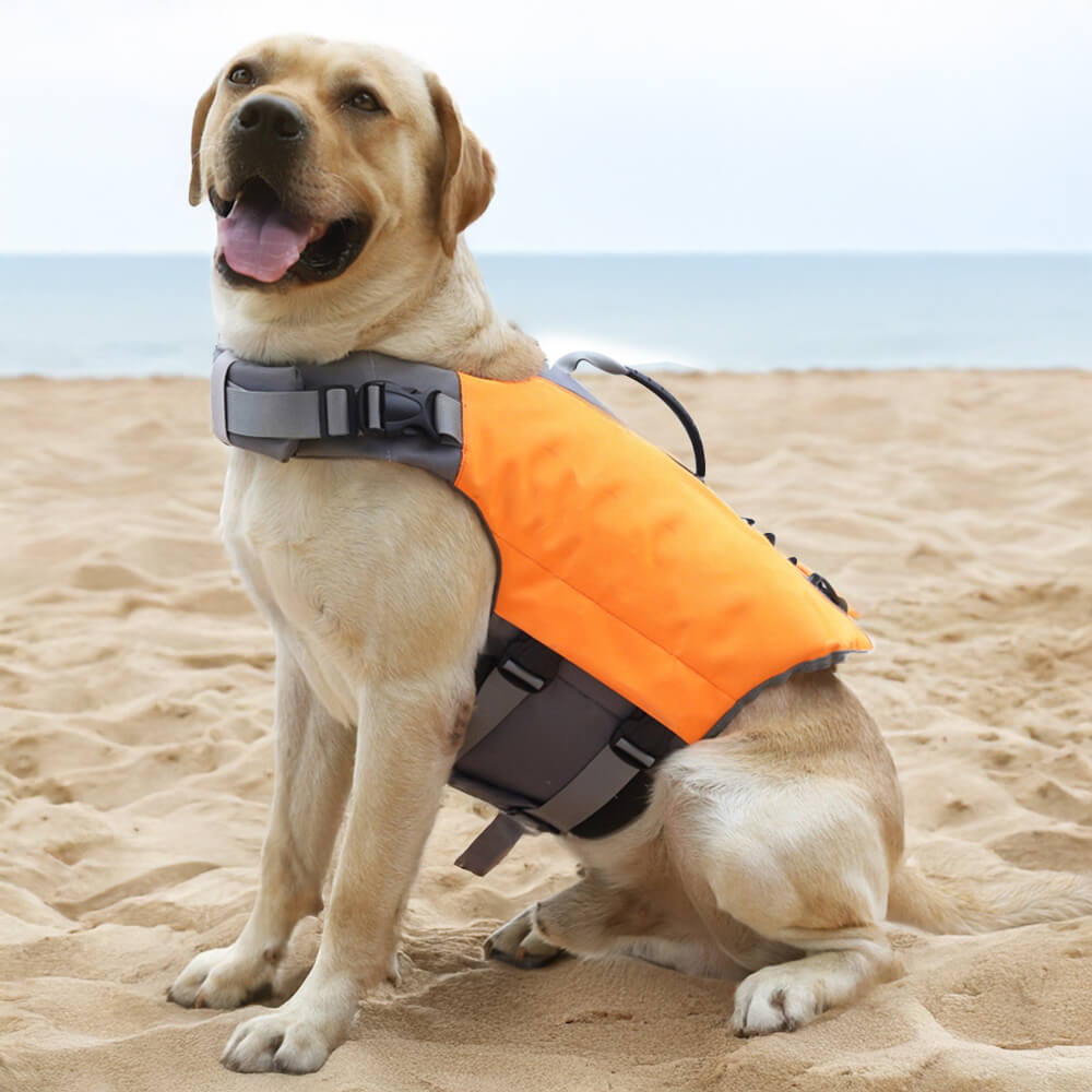 Giacca per cani ad alta visibilità sicura e galleggiante
