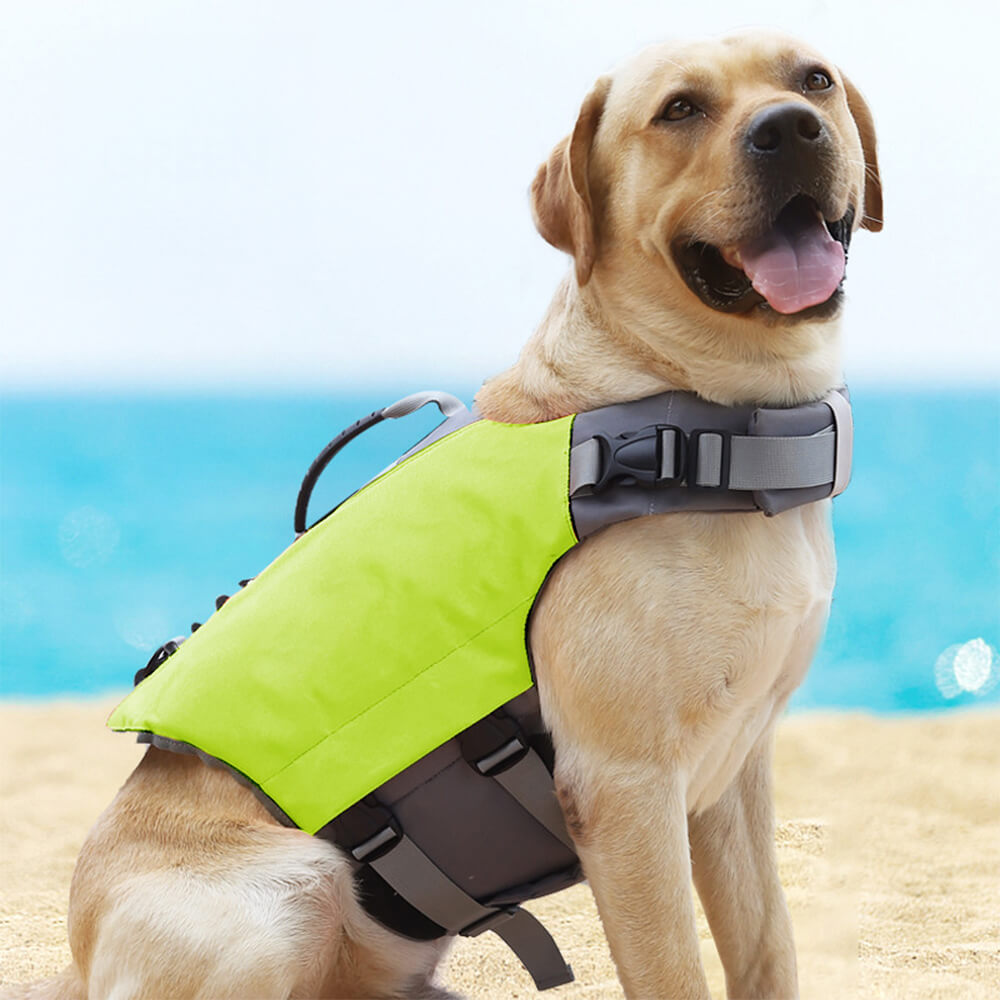 Giacca per cani ad alta visibilità sicura e galleggiante
