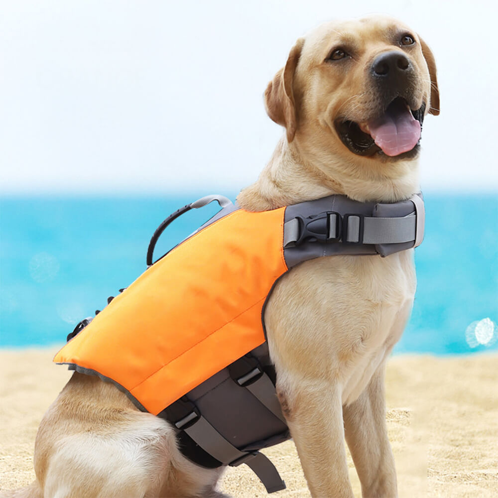 Giacca per cani ad alta visibilità sicura e galleggiante