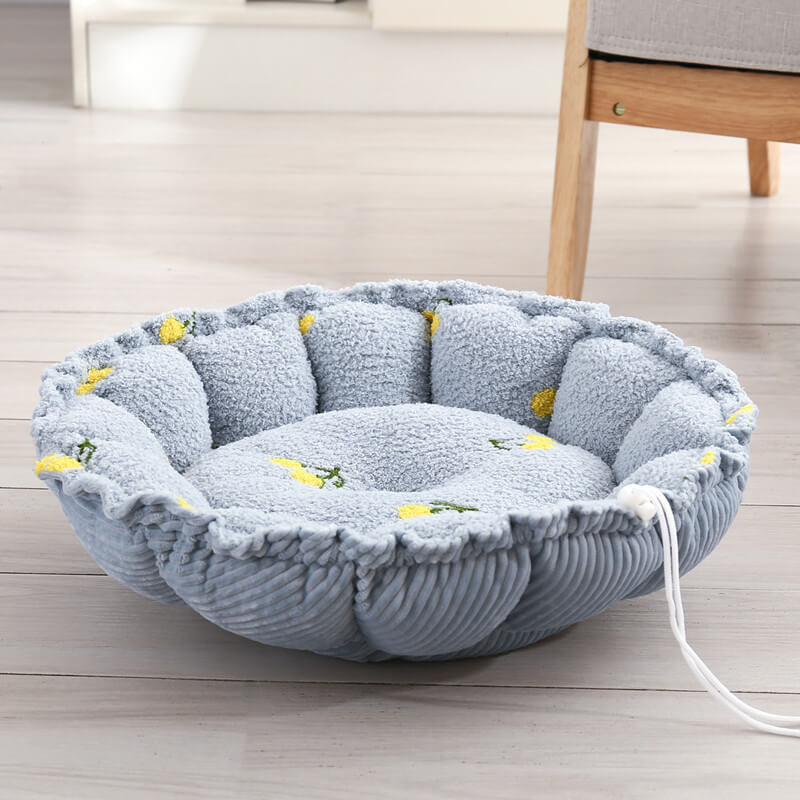 Design morbido Design del coulisse