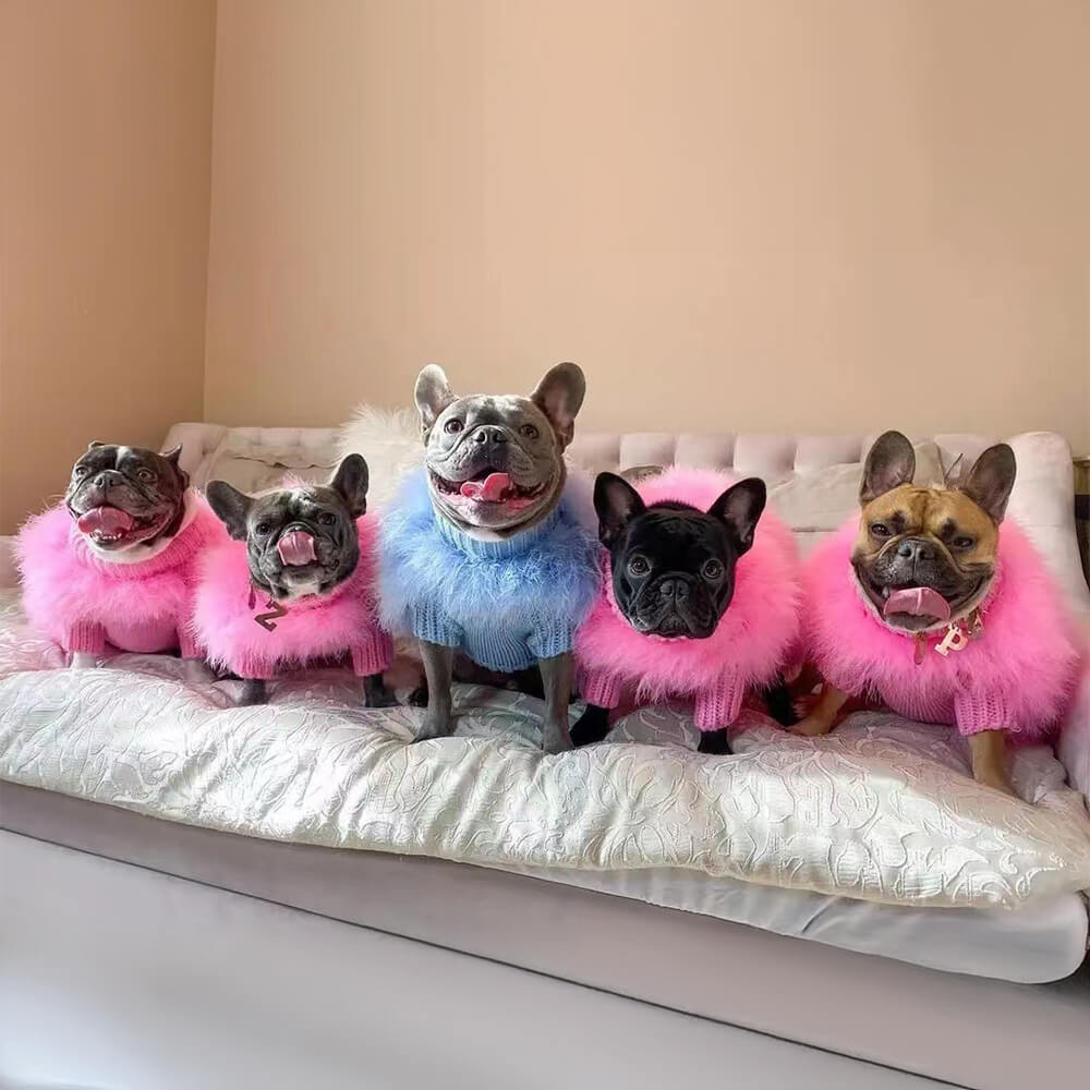 Morbido morbido maglione per cani lussuoso per cane lussuoso