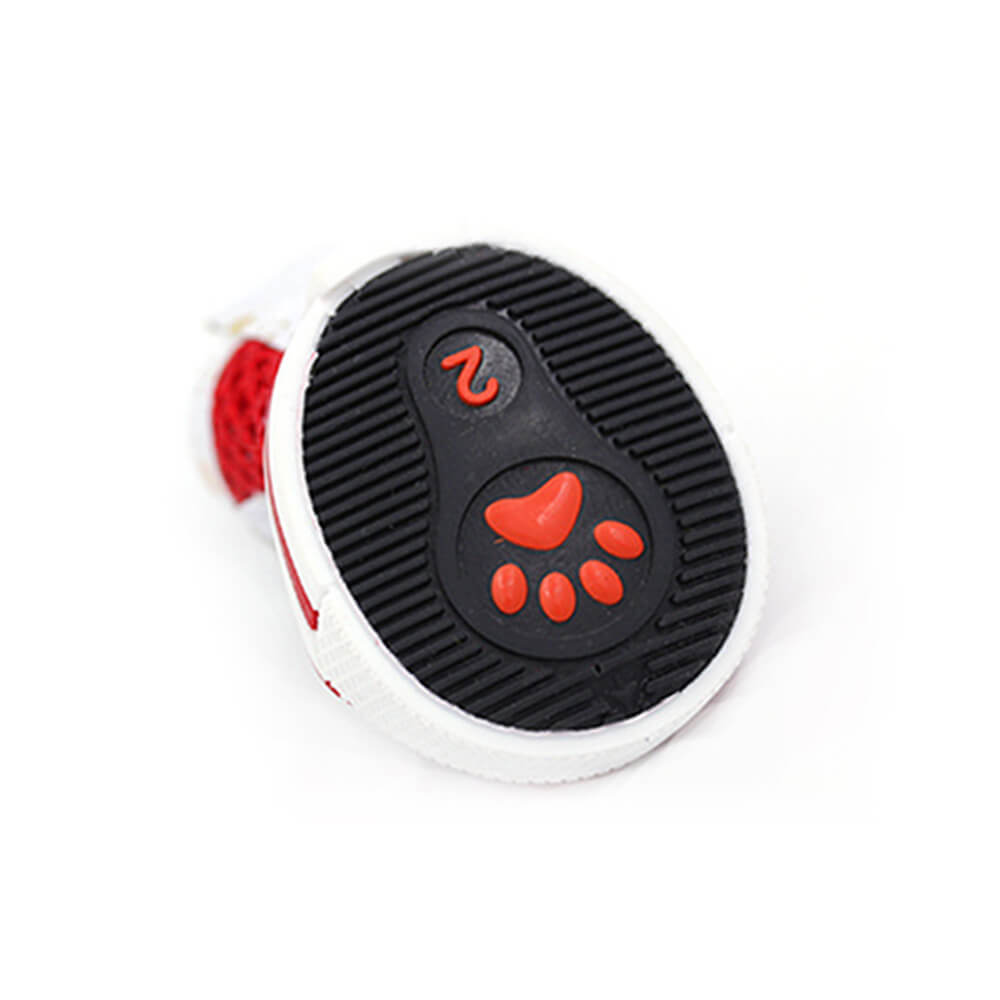 Scarpe sportive per cani antisciplina a maglia traspirante alla moda