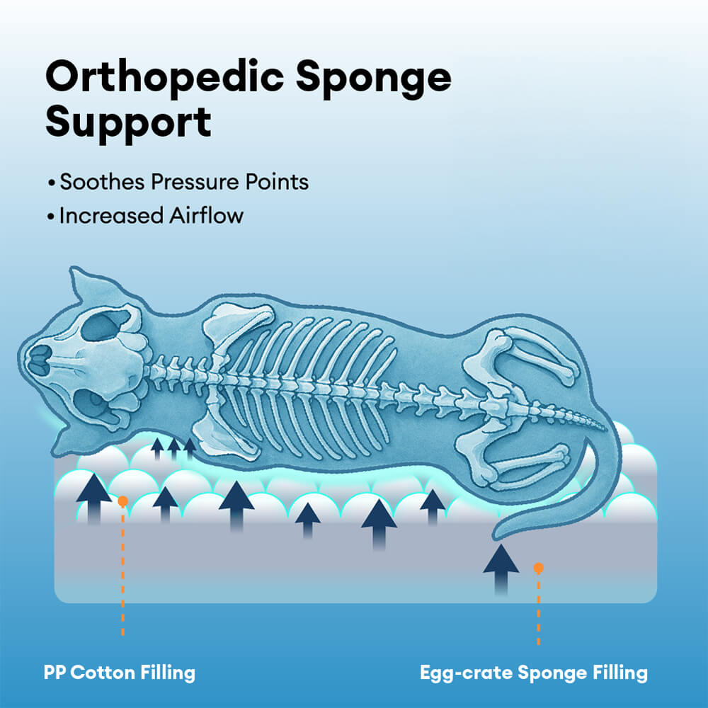 Cama de perros de espuma de memoria ortopédica impermeable